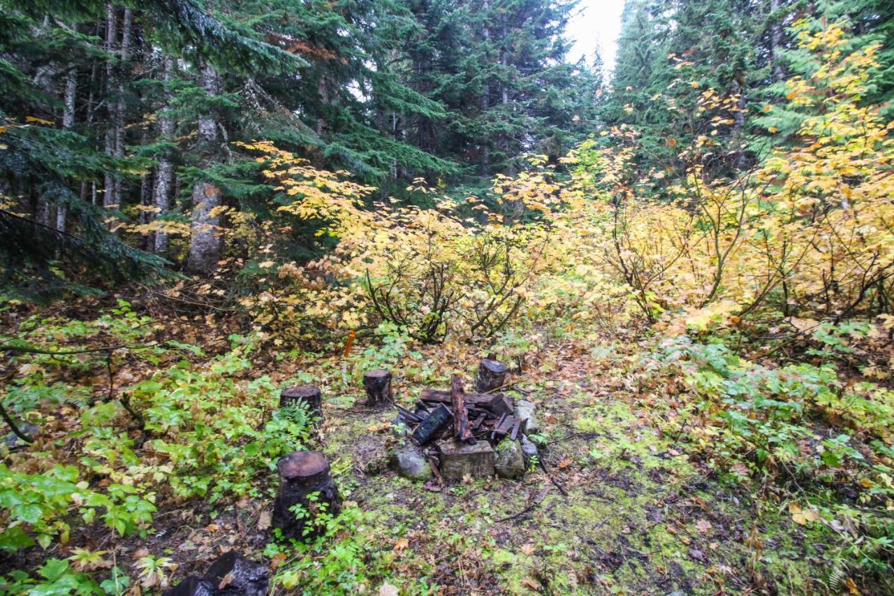Snoqualmie Pass Hyak Duplex Cabin מראה חיצוני תמונה