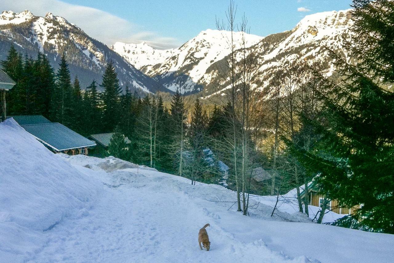 Snoqualmie Pass Hyak Duplex Cabin מראה חיצוני תמונה